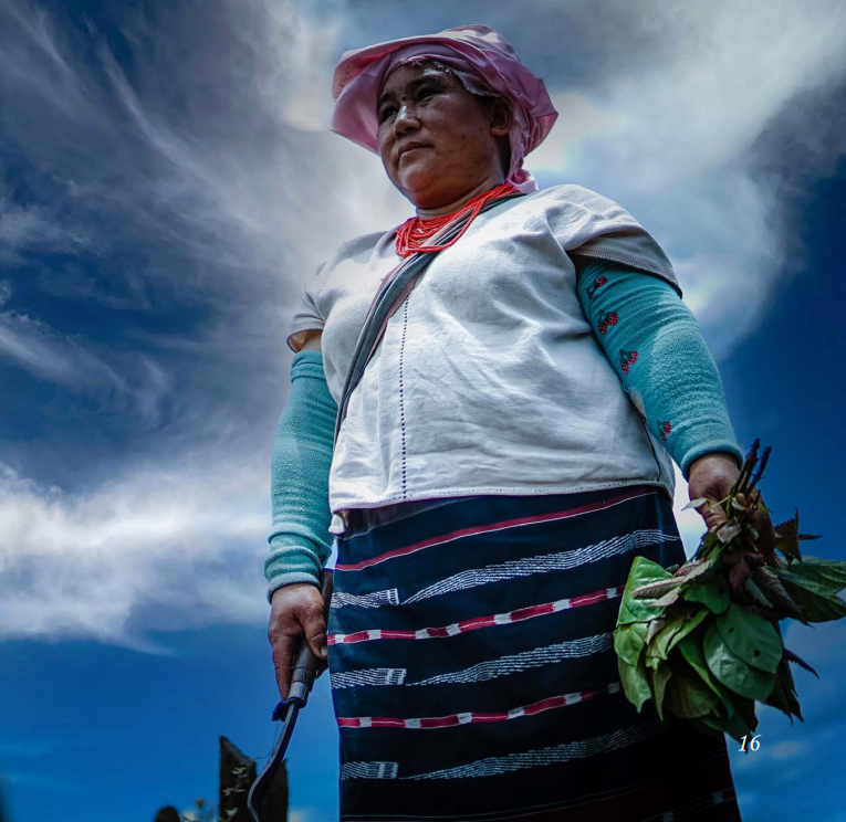AIPPIKPA's tweet photo. #IndigenousWomen play a crucial role in preserving indigenous seeds, maintaining food security, and ensuring community well-being. 

Learn the contributions of Shan, Lua, and Akha Indigenous Women of northern Thailand at https://t.co/njkiaPZHYN https://t.co/821IM5OSdv