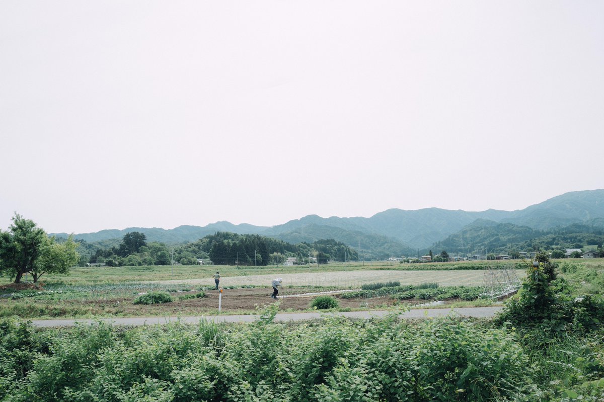 平和に生きてます