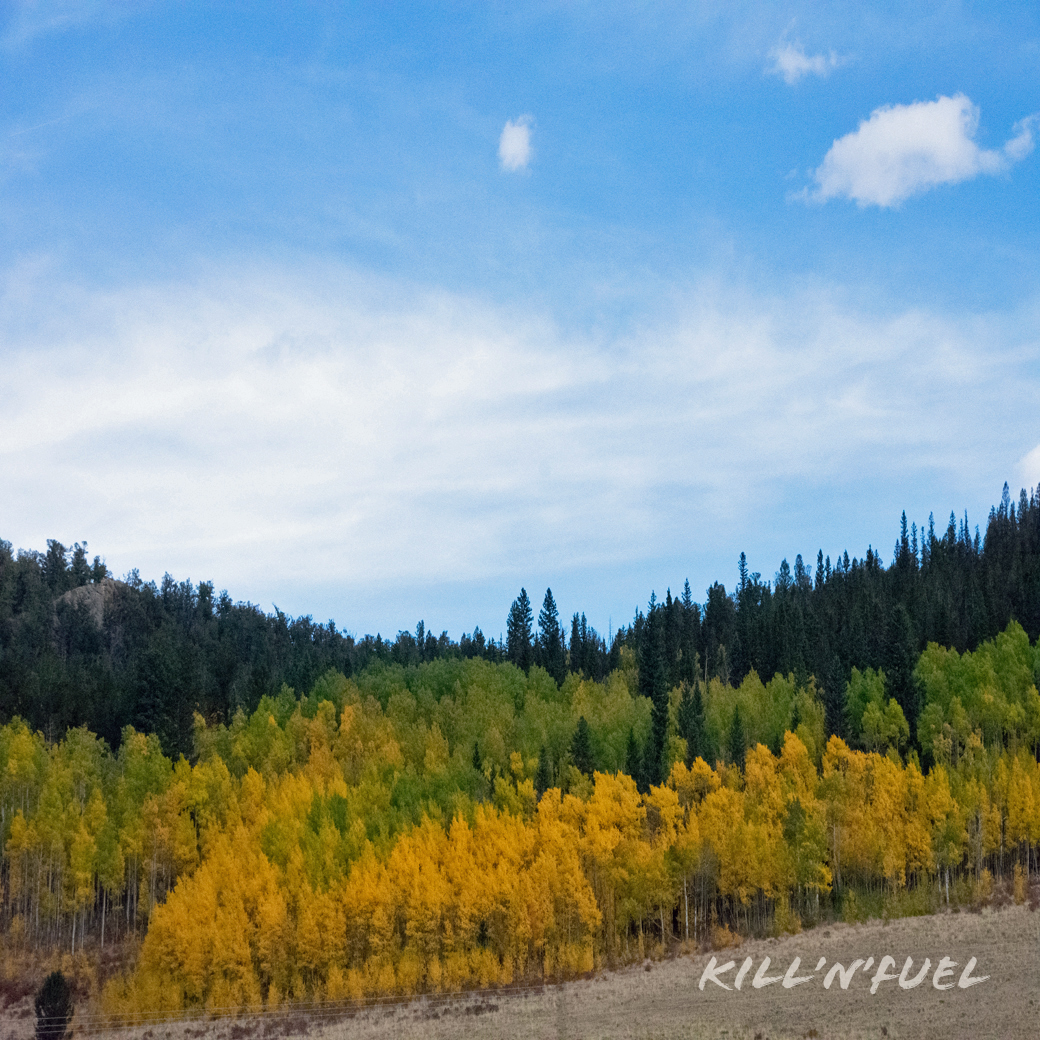 KillNFuel's tweet photo. Love how the trees ombre yellow, green, dark green.
#ombre #lovely #trees #changingcolors #fallincolorado #evergreens #cool https://t.co/7StY3Fgqju