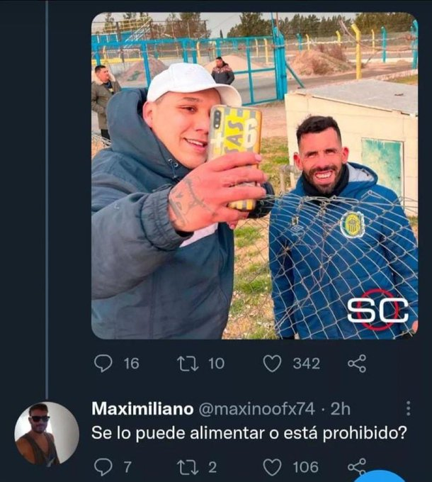 ¿ Se lo puede alimentar ?