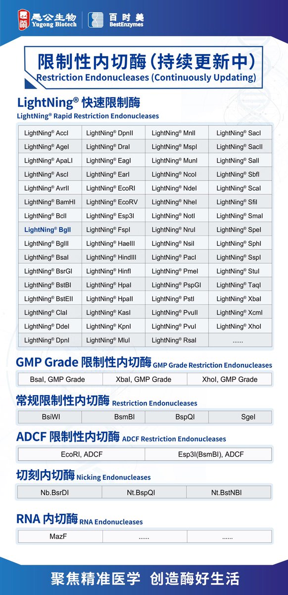 Tina28056's tweet photo. LightNing® BglI has been launched！

BglI is part of the LightNing® series of rapid restriction enzymes, characterized by high fidelity, universal buffer , fast digestion.

welcome to inquire🤗 https://t.co/TbMPFBReov