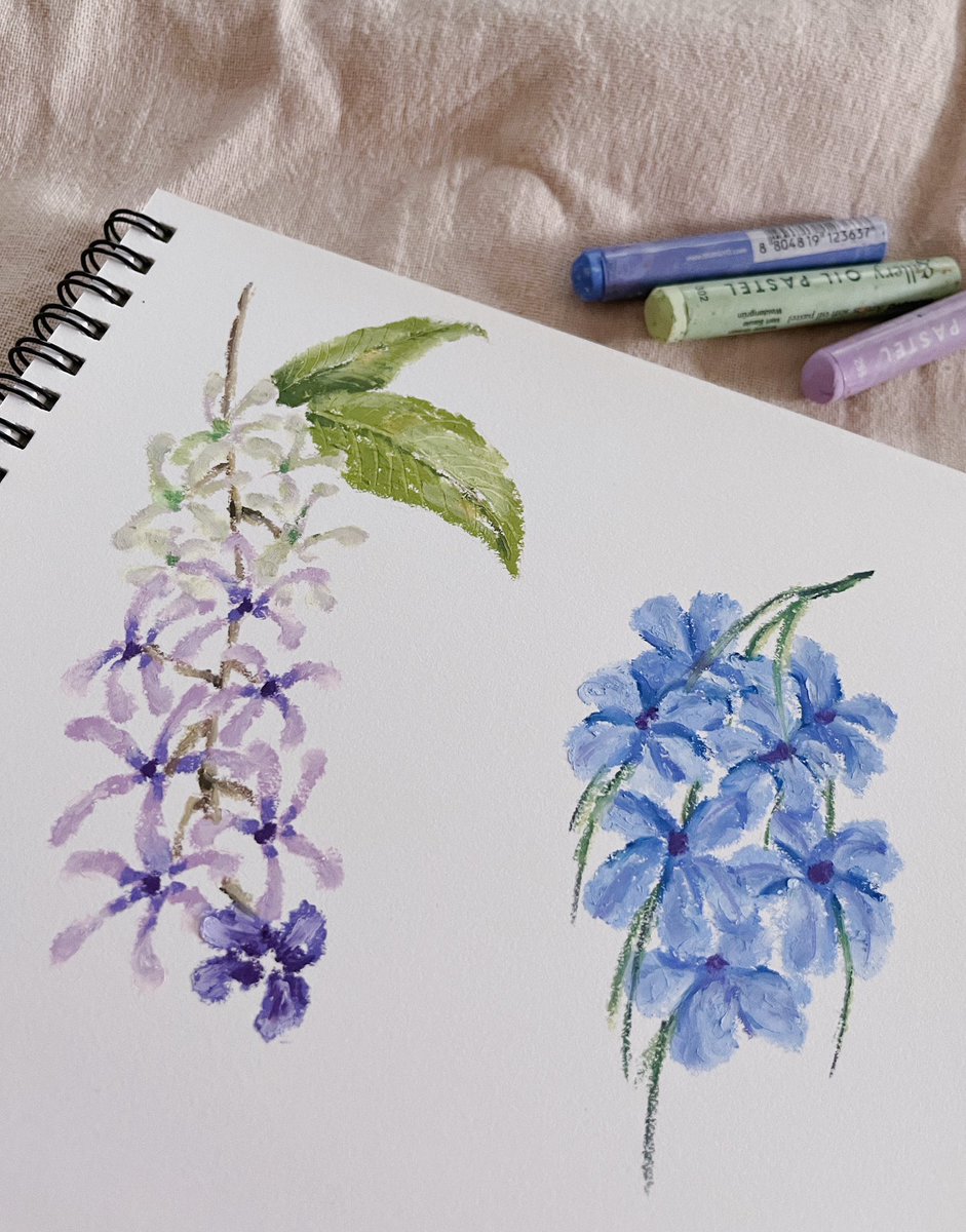 artt94nirafeel's tweet photo. ชอบวาดดอกไม้พอๆกับท้องฟ้าเลยค่ะ 🍃🌸 https://t.co/L1jHMKL2pN