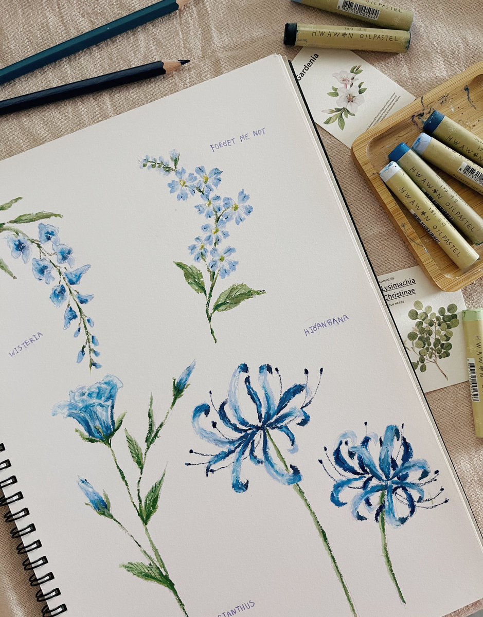 artt94nirafeel's tweet photo. ชอบวาดดอกไม้พอๆกับท้องฟ้าเลยค่ะ 🍃🌸 https://t.co/L1jHMKL2pN