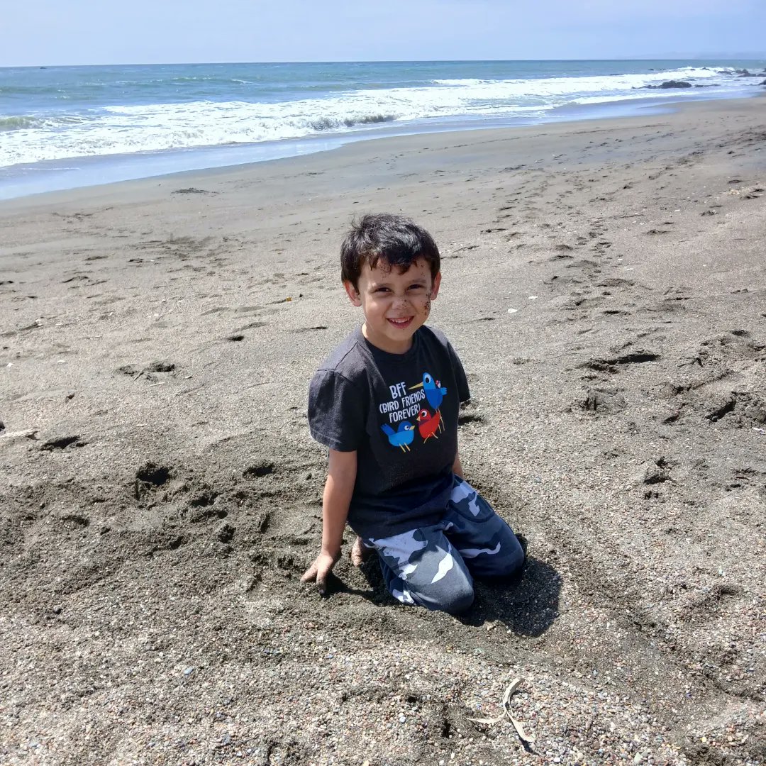 KellySludge's tweet image. Cambria, CA