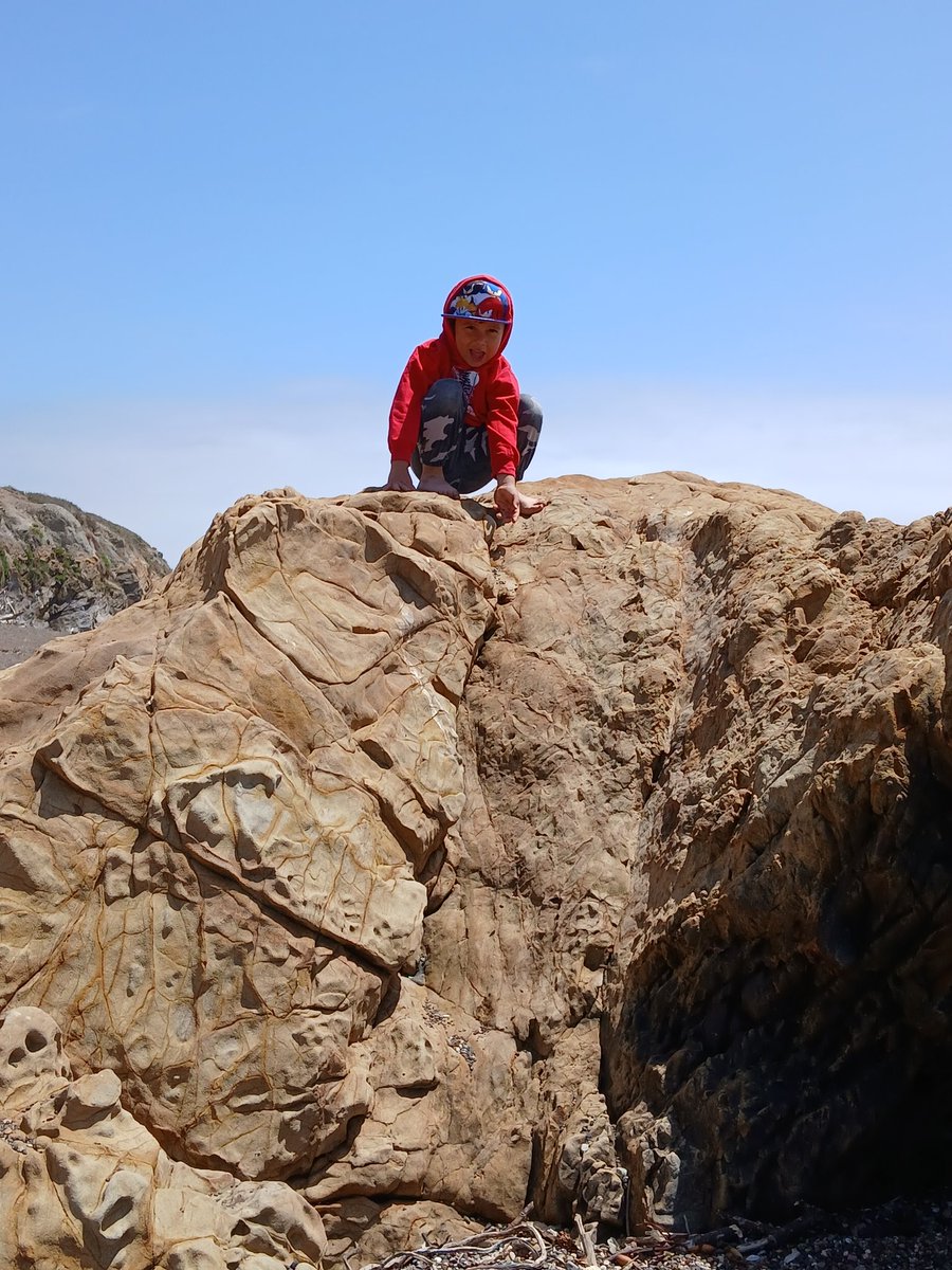 KellySludge's tweet image. Cambria, CA