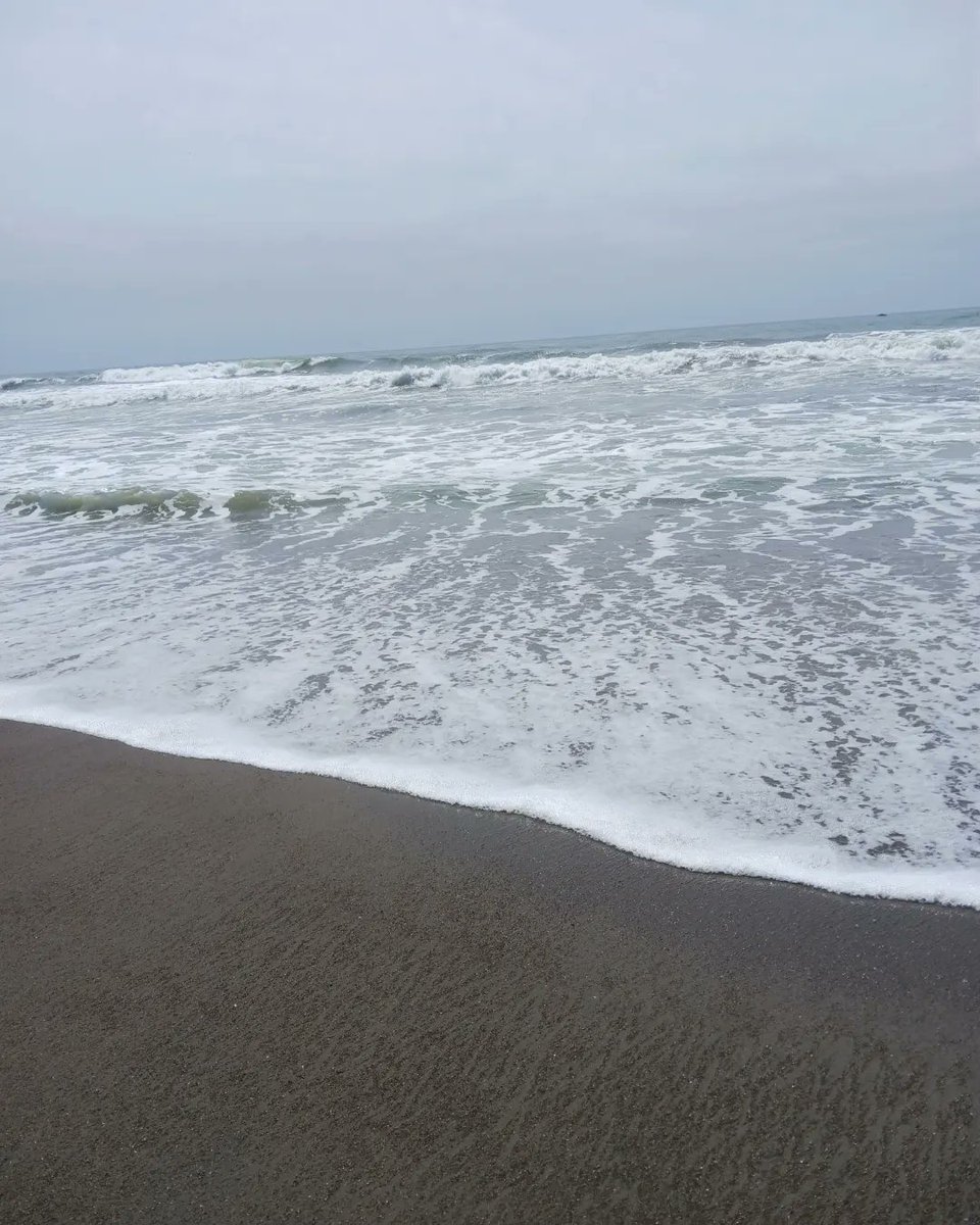 KellySludge's tweet image. Cambria, CA