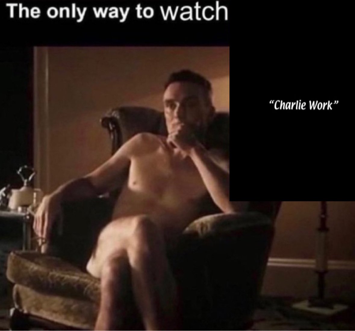 lou ☽ (@gobbluthsgf) on Twitter photo 