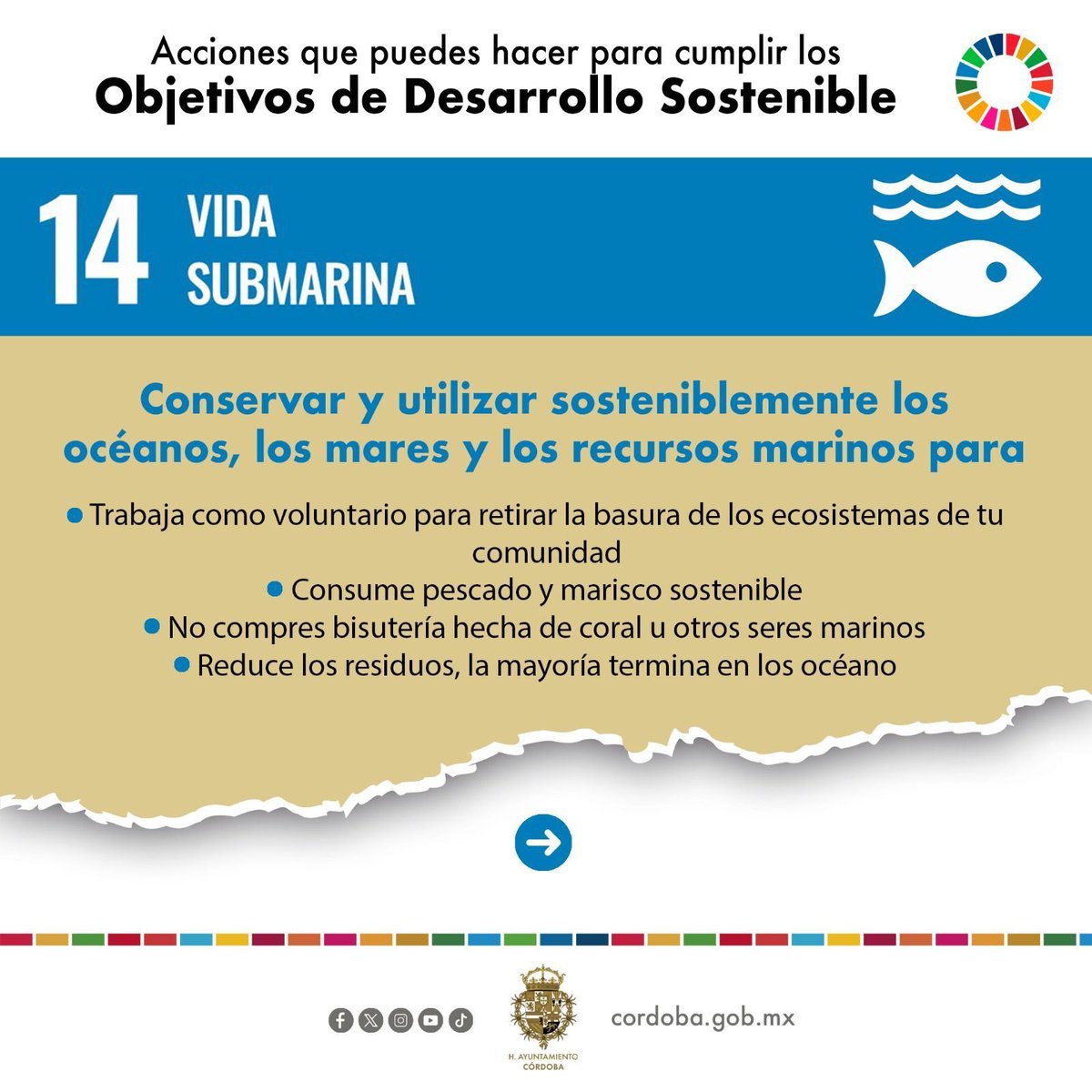 Los Objetivos de Desarrollo Sostenible (ODS) son vitales para el futuro. Al implementarlos localmente, fomentamos una economía verde, reducimos desigualdades y protegemos recursos naturales. Cada acción cuenta para construir un mundo más justo y habitable para todos. #ODSLocal