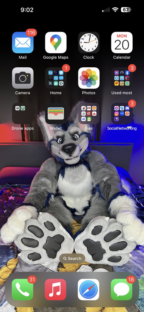 X your Home Screen! Let’s see all the home screens. 🐺 Hubby @Denwolf_ 🪡 @WaggeryCos
