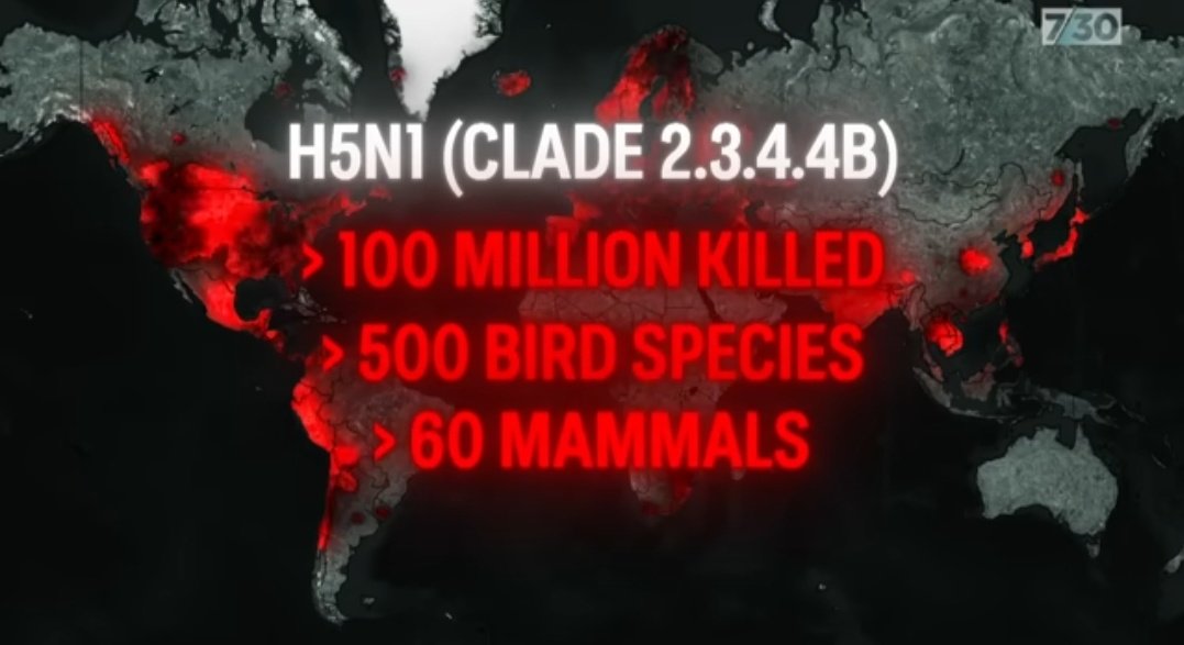 H5N1 has reached as far as the artic. The virus has killed ~100 million animals and jumped to 60 mammalian species. Vaccines and public health measures will be our only defense. I wonder if the antivaxers and virus deniers will change their tune in the face of potential