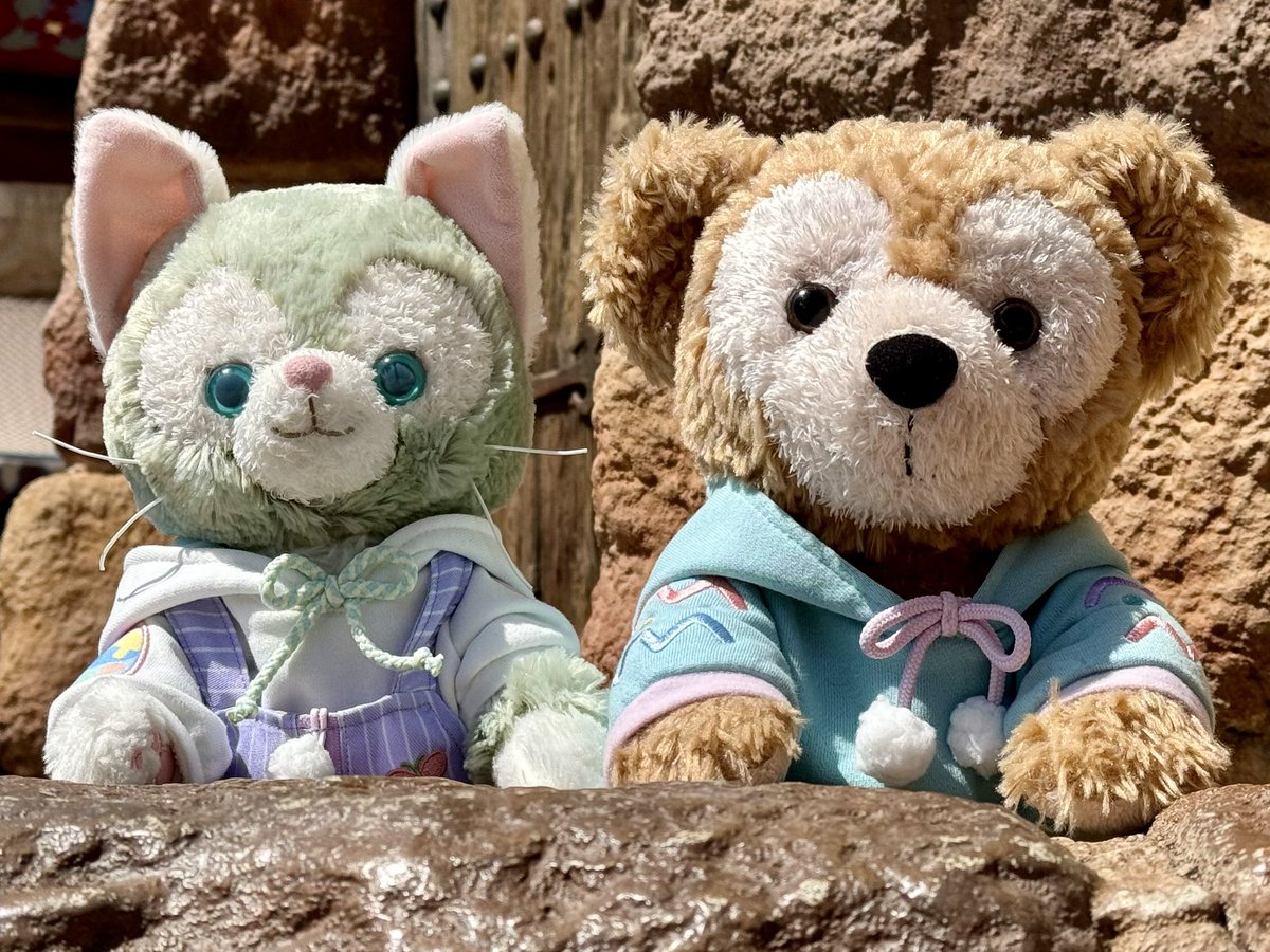 🐻今日は新エリアを探検するぞー
🐱まだオープンしていないよ
🐻💦🌀💦

#ダッフィー
#ジェラトーニ
#東京ディズニーリゾート