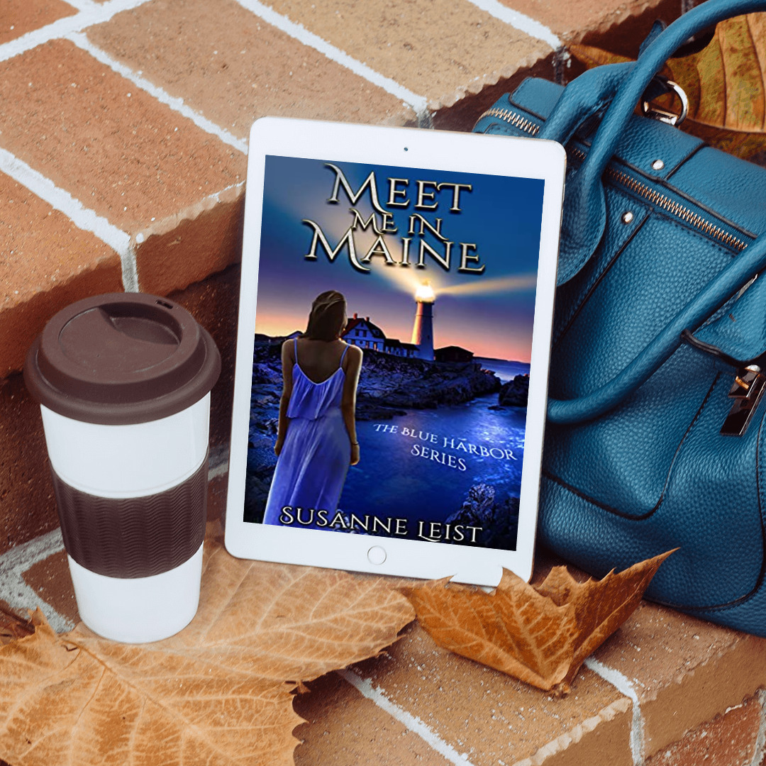Do you want a captivating, mysterious, mind-stimulating novel? I have one for you. MEET ME IN MAINE amzn.to/3YKZKqN bit.ly/3gj85hz #booklove #romancebooks #booksbooksbooks