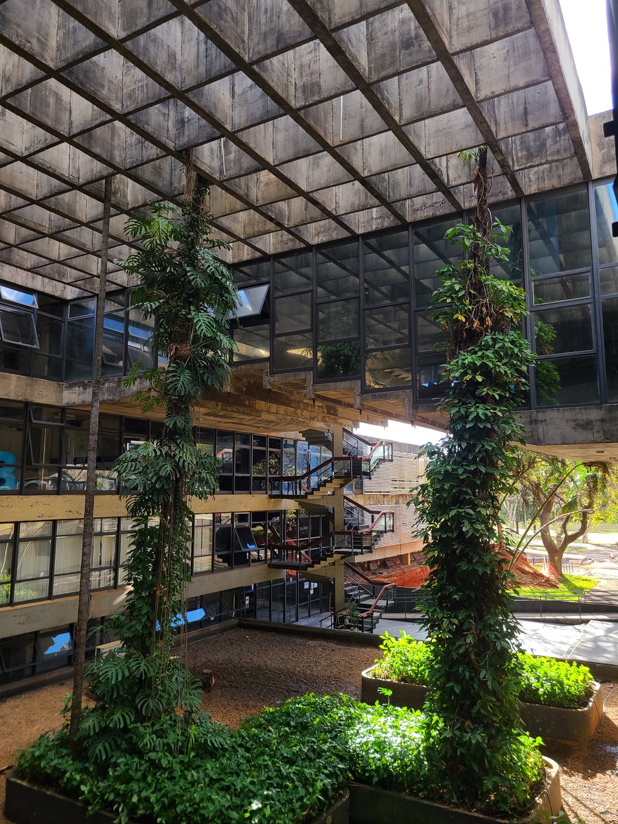 brunomeyerfeld's tweet photo. L'Université de Brasilia, ce chef d'œuvre architectural trop méconnu de la capitale brésilienne. https://t.co/DGF35pBtRw