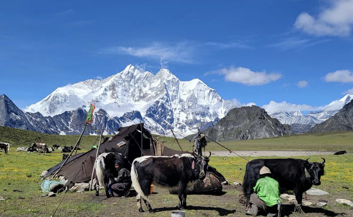 DolkerYangchen_'s tweet photo. Life of herdsmen in Tibetan areas deep in the mountains https://t.co/HMh3qlLwvb