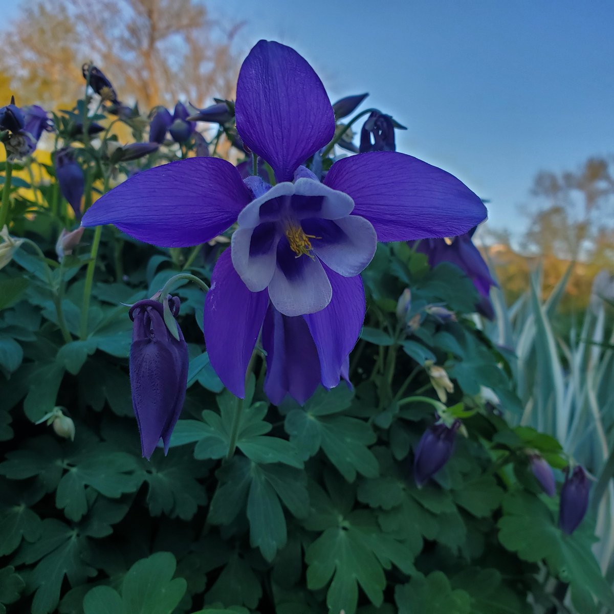 A few beautiful pictures from the Rockland, #Idaho area sent to us by Curtis Hansen

#SpiritOfIdaho #PhotoOfTheDay #news3now #localnews8