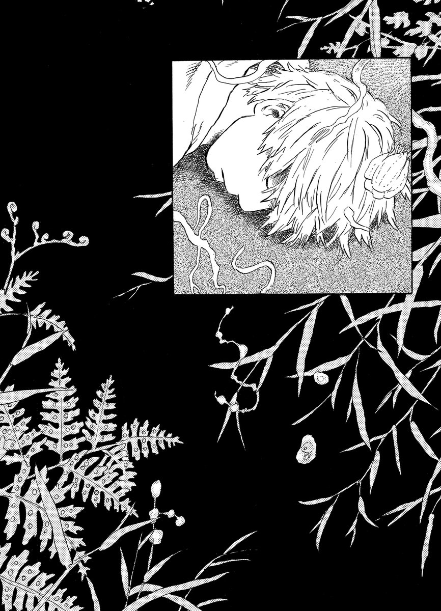dailymushishi's tweet photo. https://t.co/VbscNArstS