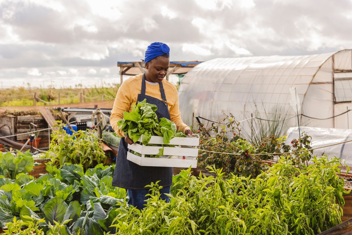 📚 The Crawford Fund high-school teaching materials are at the forefront of addressing food and nutrition security challenges, fostering critical thinking and empowering our future leaders. Dive deeper: buff.ly/3yii9D4 #NextGeng4D @heather_educate @RaidNetwork