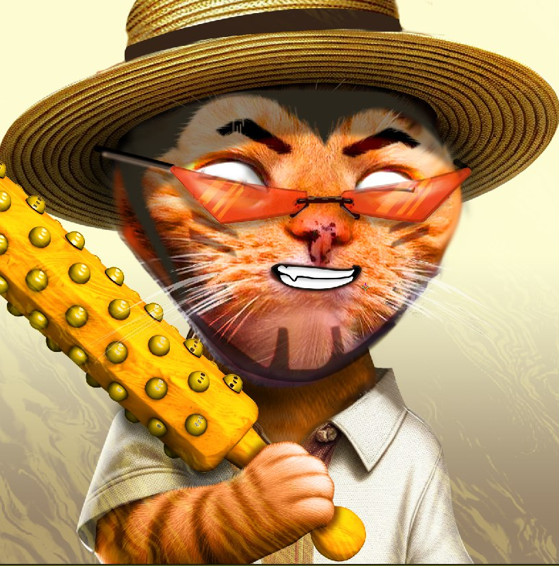 HoodieCatCoin's tweet photo. we @blknoiz06 bros https://t.co/e8GUoWWh1d