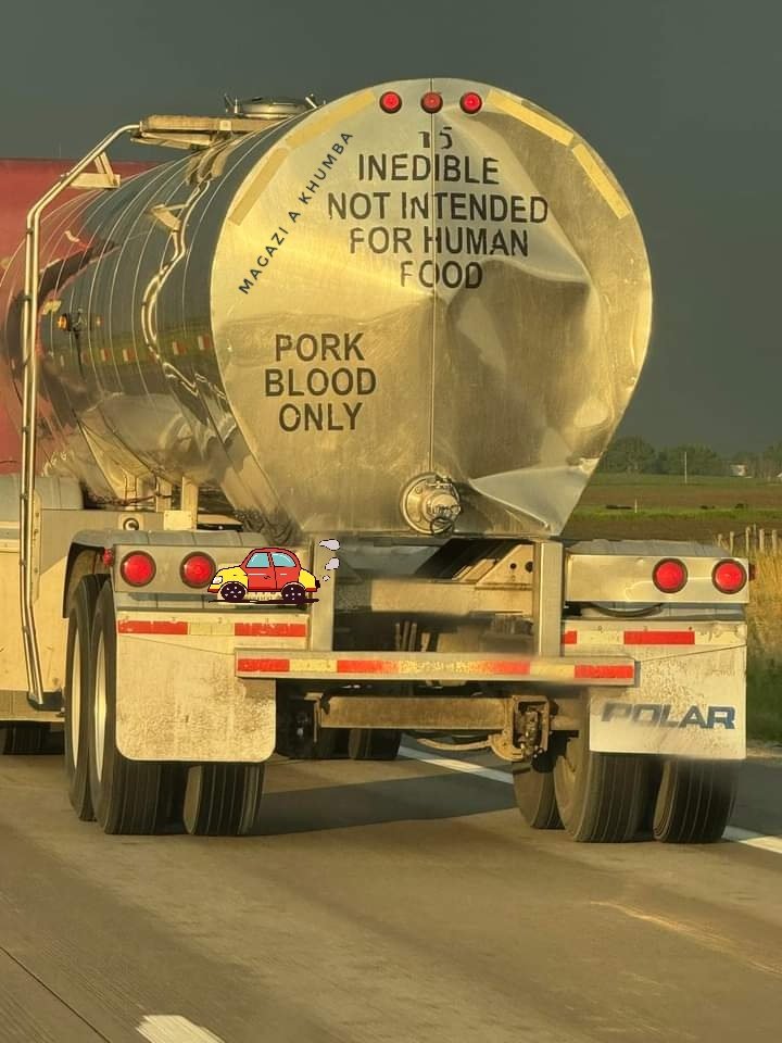 naseway's tweet image. When I was consulting the dairy farm I promised my client that I will eliminate people who were stealing milk from the distribution tanker while on the move.

DM me if you have any non financial business problems.

I seal and proof all the leakages.