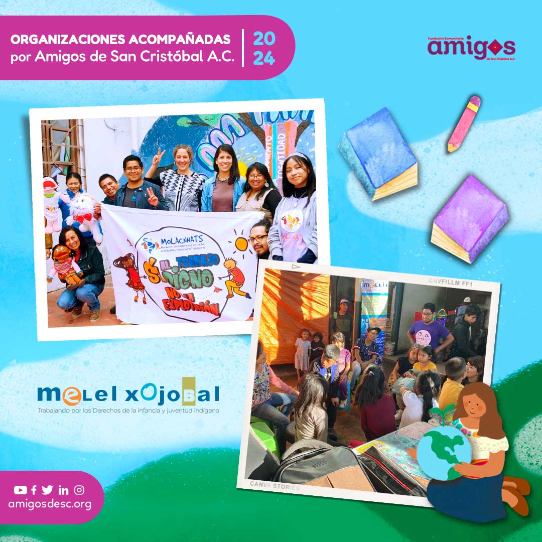 Amigos de San Cristóbal A.C tweet media