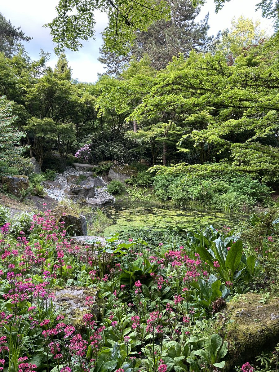 Sam Arbabi tweet media