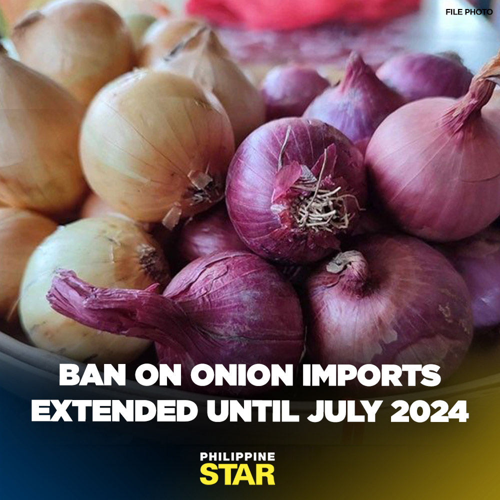 The Philippines has extended the ban on the importation of onions until July 2024 to prevent a glut in local supplies following historic production levels, according to the Department of Agriculture (DA). tinyurl.com/a9ehue8r