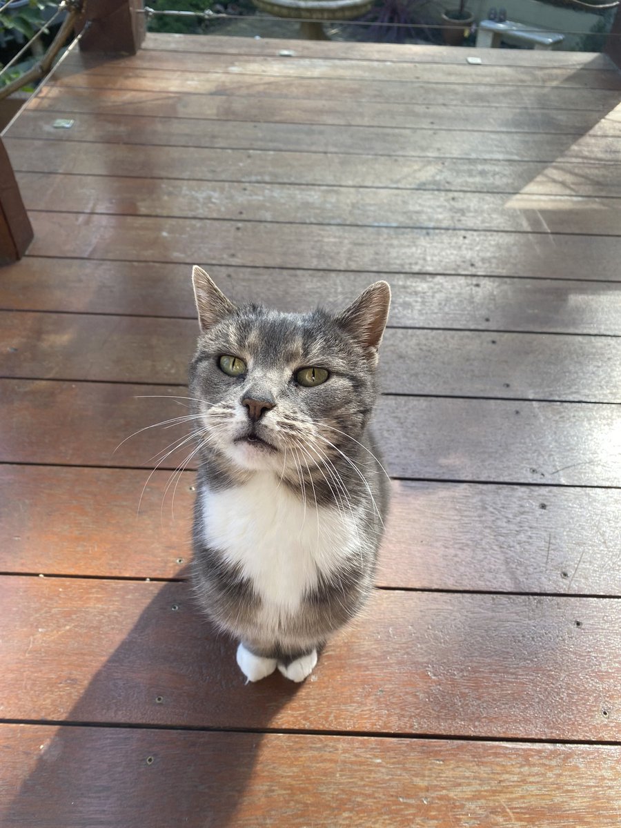 HYTASS 🍑 tweet media