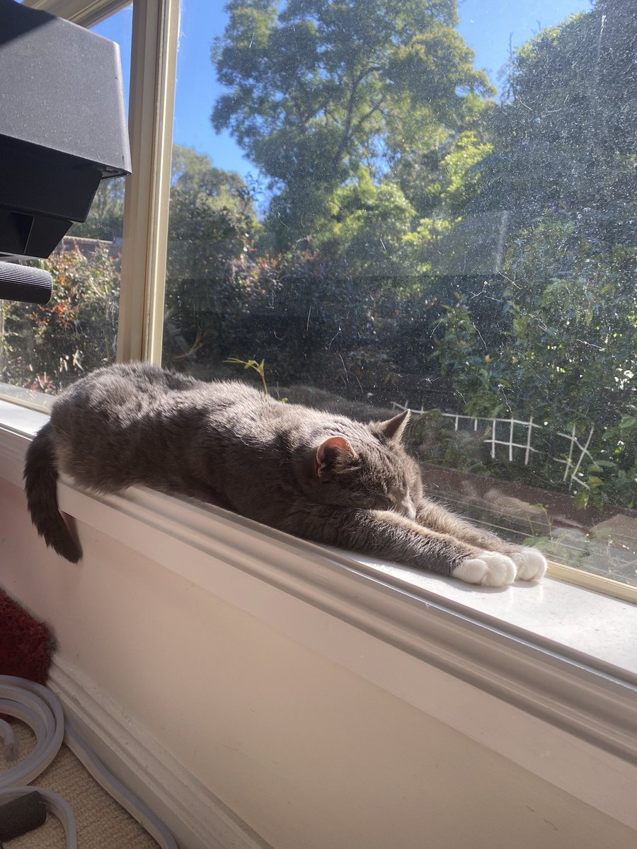 HYTASS 🍑 tweet media