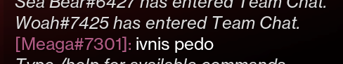 RHunt20's tweet photo. @Bungie @BungieHelp I don't think this guy likes hunter invis! https://t.co/uvWYNGiCKJ