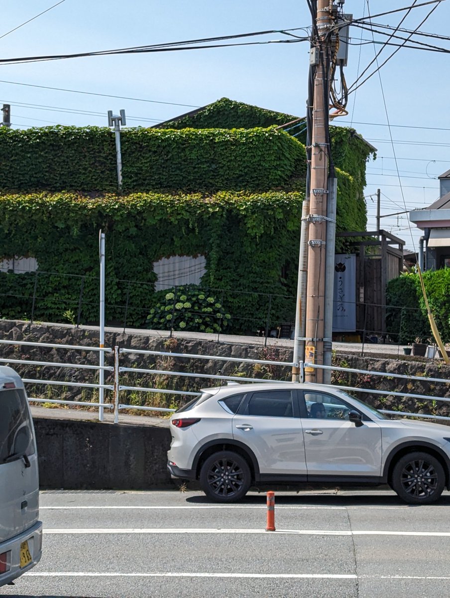 おはようございます。
大分市内より。😊