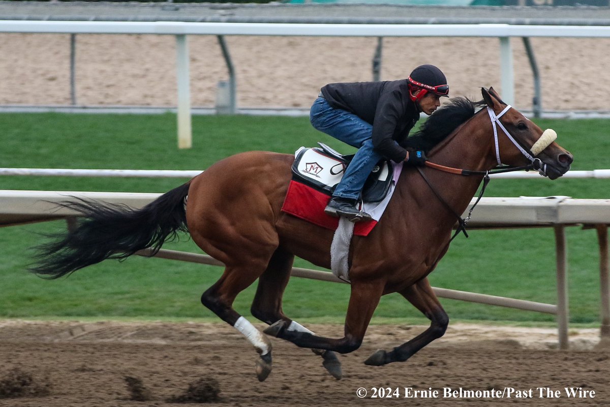 Gritty Girl (4F: 49.20 H) working this morning.