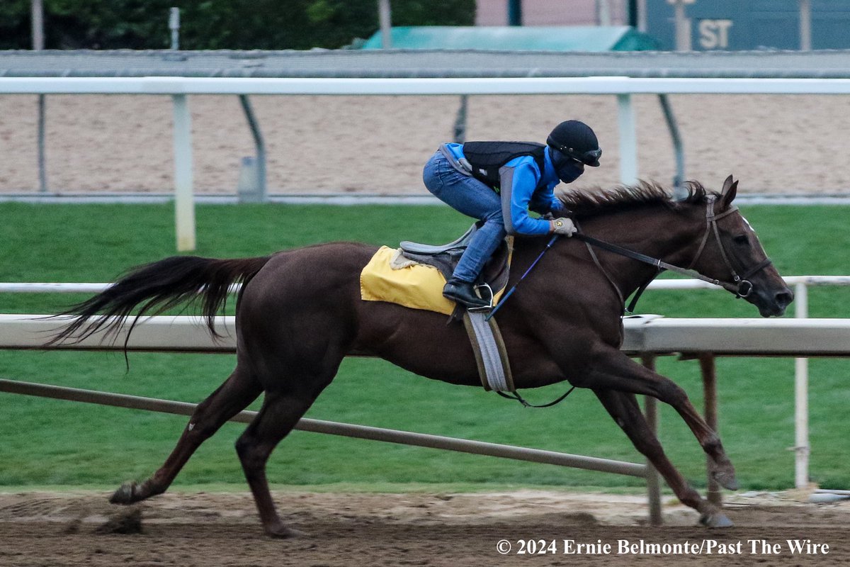 Liberal Lady (5F: 1:02.60 H) working this morning.