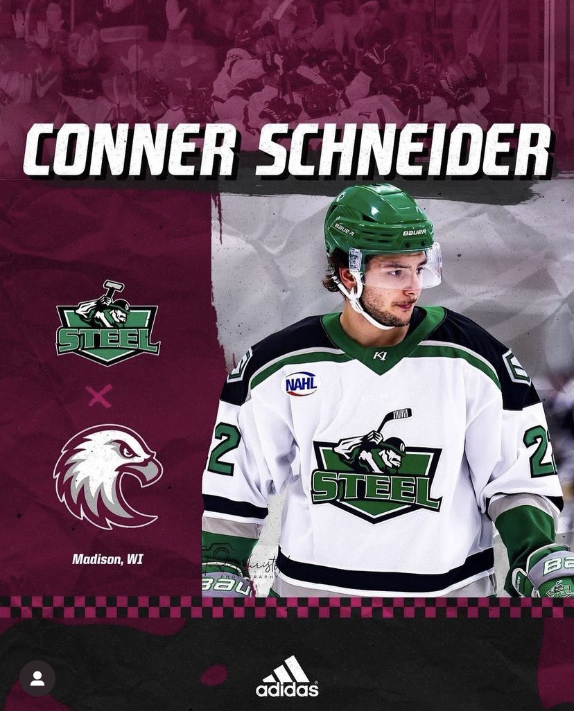 We would like to welcome forward Conner Schneider! Schneider joins the Auggies from the Chippewa Steel in the NAHL and also brings USHL and BCHL experience to Augsburg! #AuggiePride #d3hky