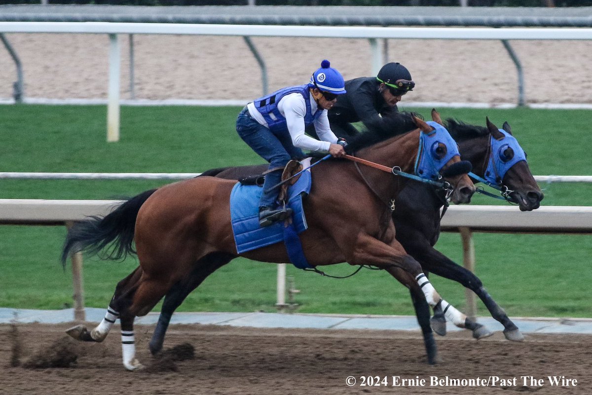 Easter (inside, 5F: 1:00.00 H) working this morning in company with Loretta Lynn (outside, 5F: 1:00.00 H).