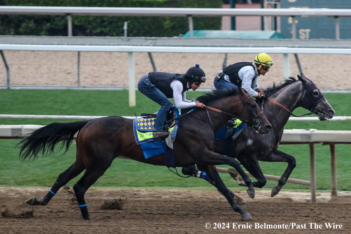 Mr Fisk (outside, 5F: 1:00.00 H) working this morning in company with Reincarnate (inside, 5F: 1:00.20 H).