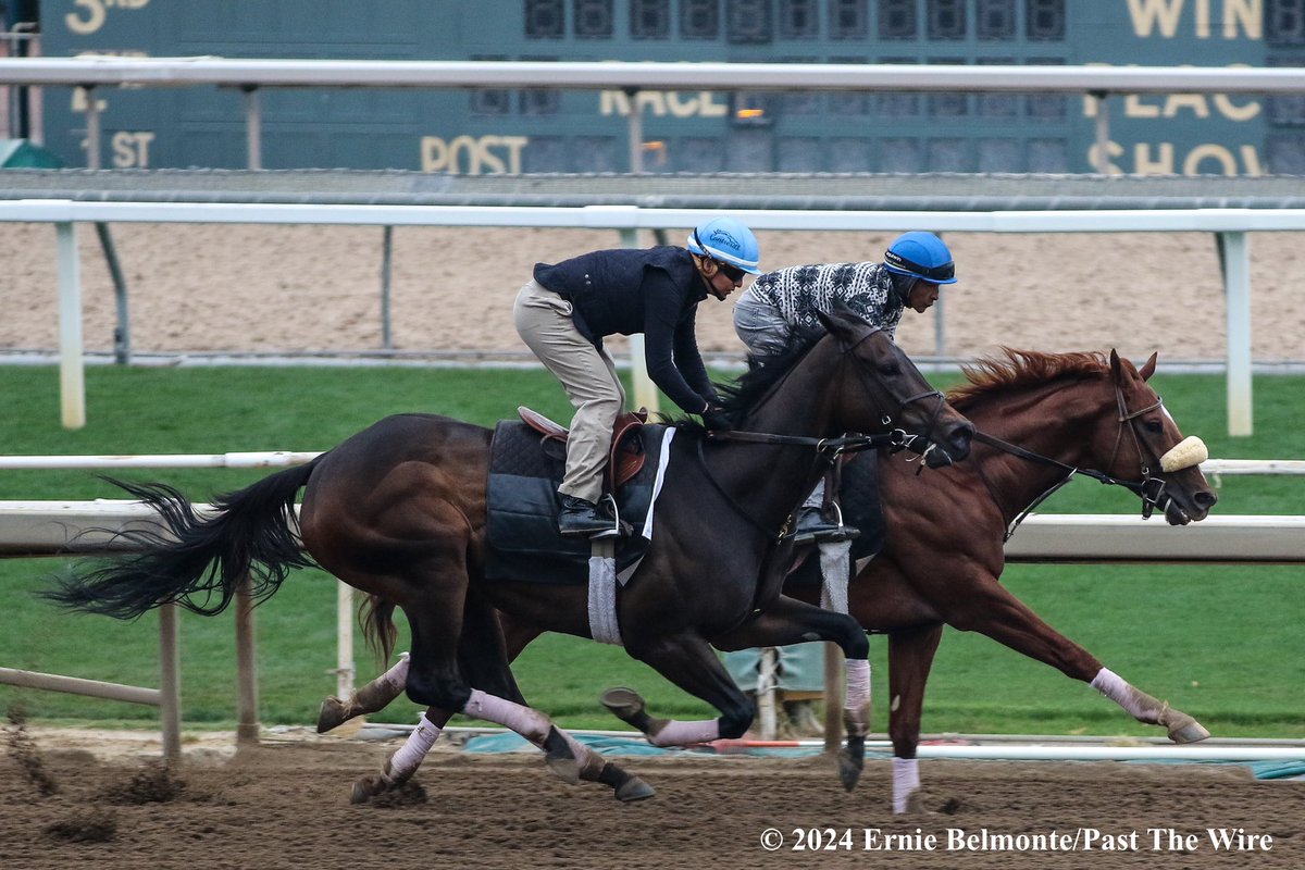 Ruby Nell (outside, 5F: 1:00.40) working this morning in company with Subsanador (inside, 5F: 1:00.60 H).