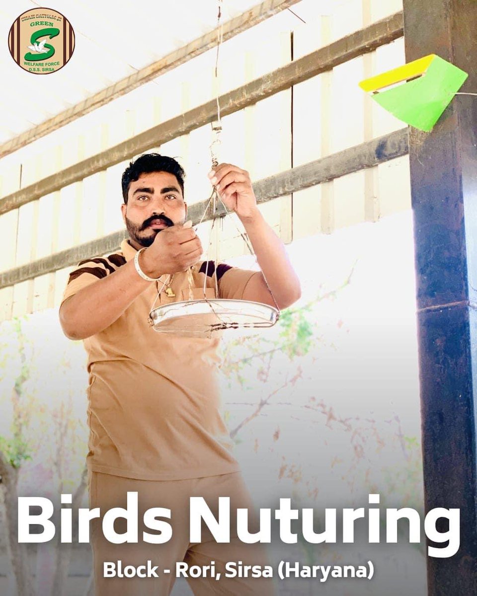 #GodMorningTuesday Animals and birds have to face a lot of problems in the scorching heat. There is a welfare work Birds Nurturing run by Saint Ram Rahim Ji under which the people of Dera Sacha Sauda arrange food and water for the birds. #HelpBirdsInSummers #Irán