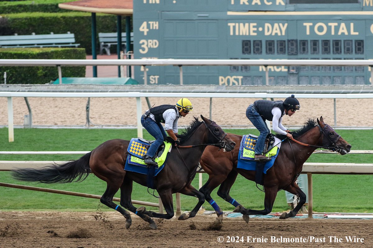 Richi (outside, 5F: 59.00 H) working this morning in company with Tahoe Sunrise (inside, 5F: 59.00 H).