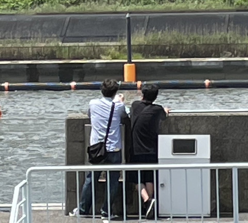 cub_boat's tweet photo. 暑いね🍺 https://t.co/Mo47hmMDoB