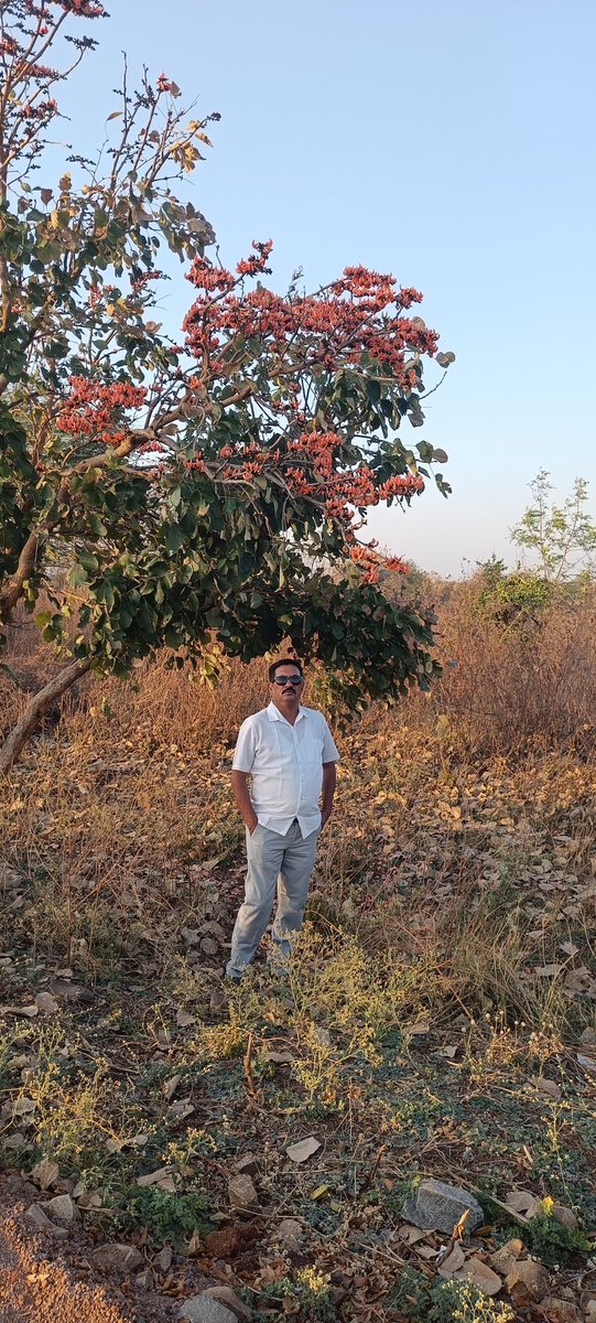 सिद्धार्थ गौतम श्रमण सभ्यता से आते थे। 

किसान जाती एवं किसानो को खेती में सहयोग करने वाली जातियों का मूल कार्य श्रमण सभ्यता में आता है!

#OBC_के_पूर्वज_बौद्ध_थे