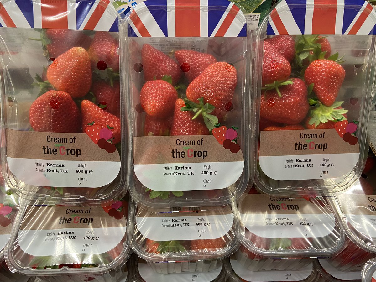 HGWalker1's tweet image. 🍓 🏴󠁧󠁢󠁥󠁮󠁧󠁿 😍 beautiful karima strawberries from Kent #fresh #fruit #seasonal #healthy #freshproduce #seasonalproduce #vegan #kent #strawberries #flavour #sweet #englishproduce