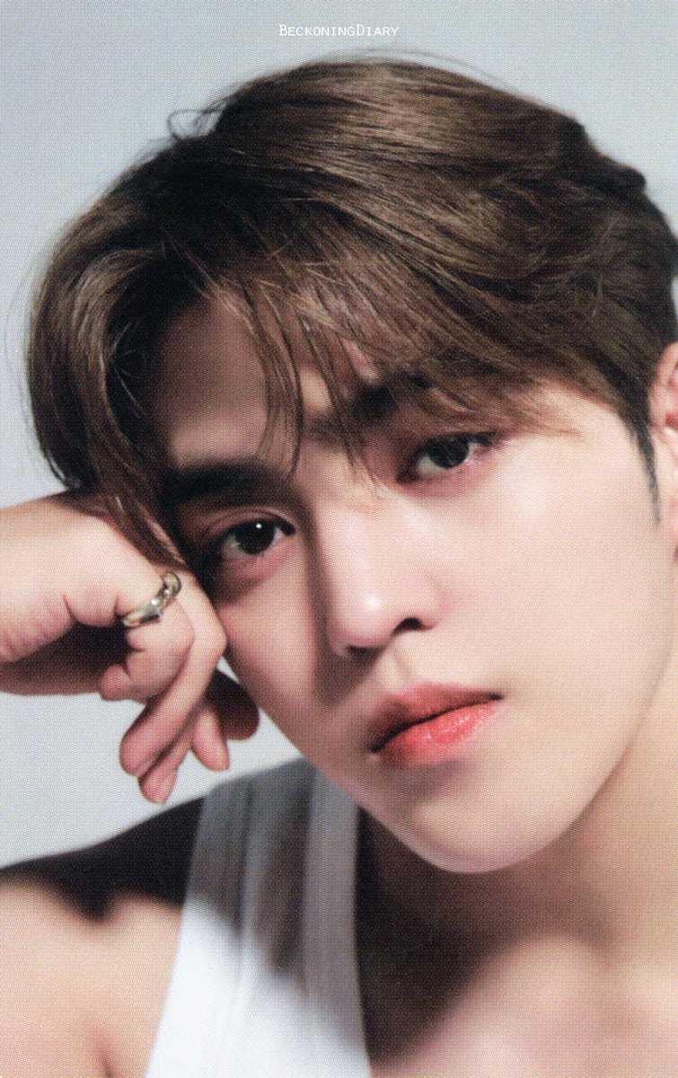 BeckoningDiary's tweet photo. 【SCAN】BEST ALBUM "17 IS RIGHT HERE" DEAR Ver. PHOTOCARD #1

#SCOUPS #에스쿱스 #エスクプス 
#세븐틴 #SEVENTEEN https://t.co/gi3ho5eiwR