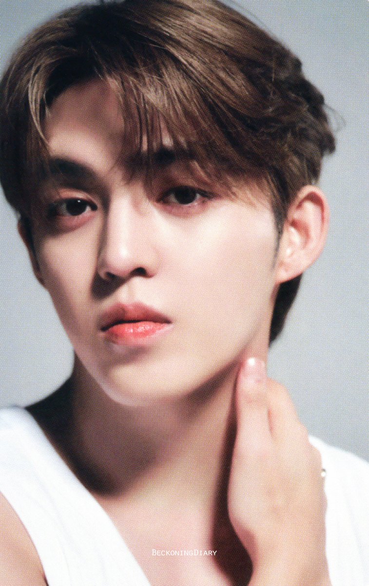 BeckoningDiary's tweet photo. 【SCAN】BEST ALBUM "17 IS RIGHT HERE" DEAR Ver. PHOTOCARD #1

#SCOUPS #에스쿱스 #エスクプス 
#세븐틴 #SEVENTEEN https://t.co/gi3ho5eiwR
