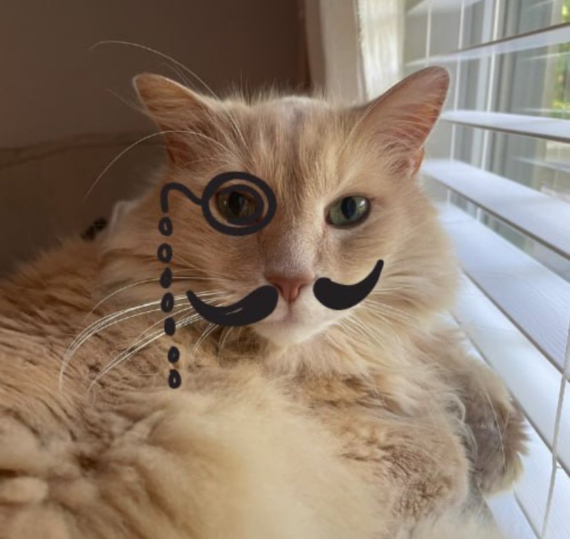 solsoldier__'s tweet photo. @jakefromweb3 I HOPE YOU STILL HOLDIN YOUR #FLOOFER @mrfloofer_sol https://t.co/5ixHbb4q0j
