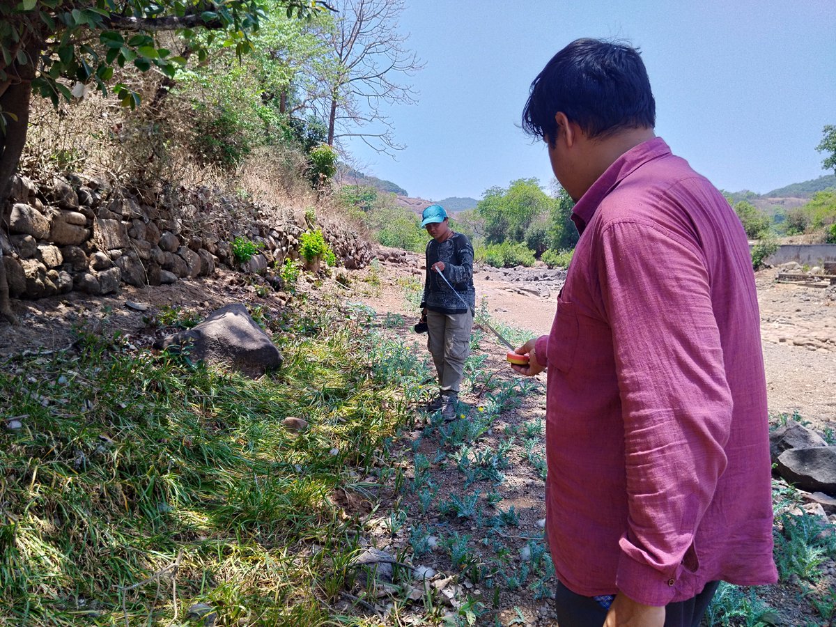 BhadPunyasloke's tweet photo. A drying river in summer is rich in biodiversity- our team members mapping biodiversity in the Bhima River @hiran_kanti @BhatPoulami @ArnabPr55601958 @Kangkana_pal @ITMERG1 @RoshniArora2 https://t.co/ZcnETCGOtt