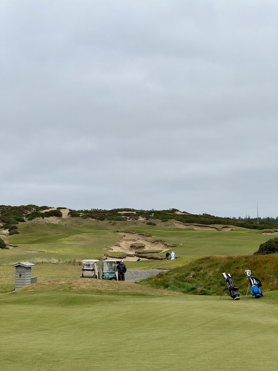 LorenTheAdult tweet media