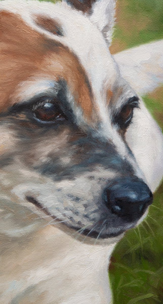 Simeon Walker (@simeonwalkerart) on Twitter photo Duet (detail) oil on canvas
36cm x 46cm / 14”x 18”
Private commission SOLD
Website: simeonwalkerart.com
Instagram: <a href="/simeonwalkerart/">Simeon Walker</a>
Facebook: <a href="/simeonwalkerart/">Simeon Walker</a>
#oiloncanvas #originalart #animalart #jackrussell #artcollector #dogpainting #australianartist #petportrait Duet (detail) oil on canvas
36cm x 46cm / 14”x 18”
Private commission SOLD
Website: simeonwalkerart.com
Instagram: <a href="/simeonwalkerart/">Simeon Walker</a>
Facebook: <a href="/simeonwalkerart/">Simeon Walker</a>
#oiloncanvas #originalart #animalart #jackrussell #artcollector #dogpainting #australianartist #petportrait