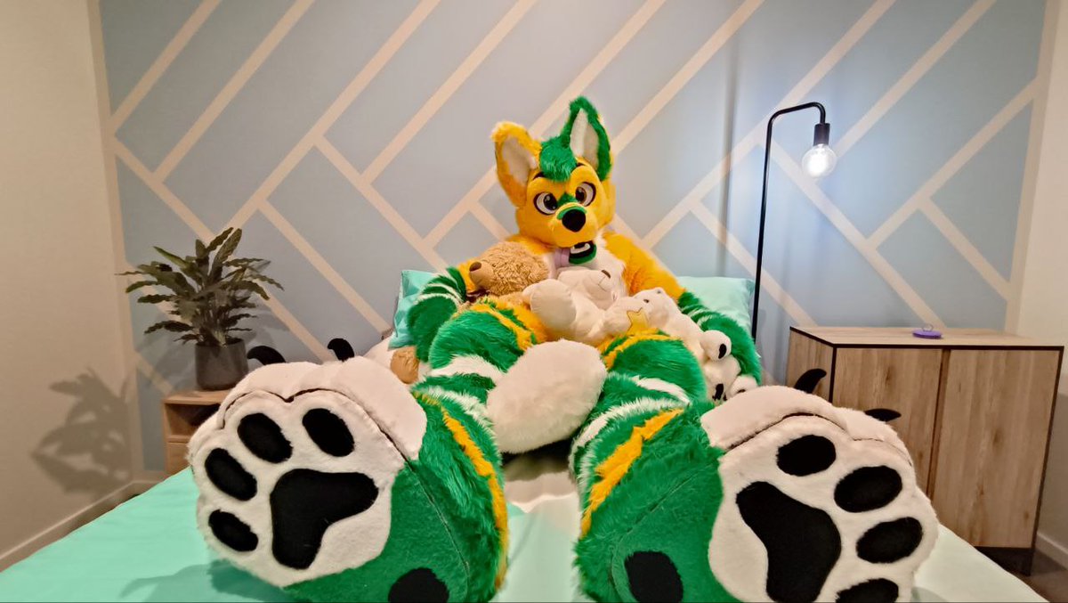 Asther Wolfie, Back to Australia 2025! tweet media