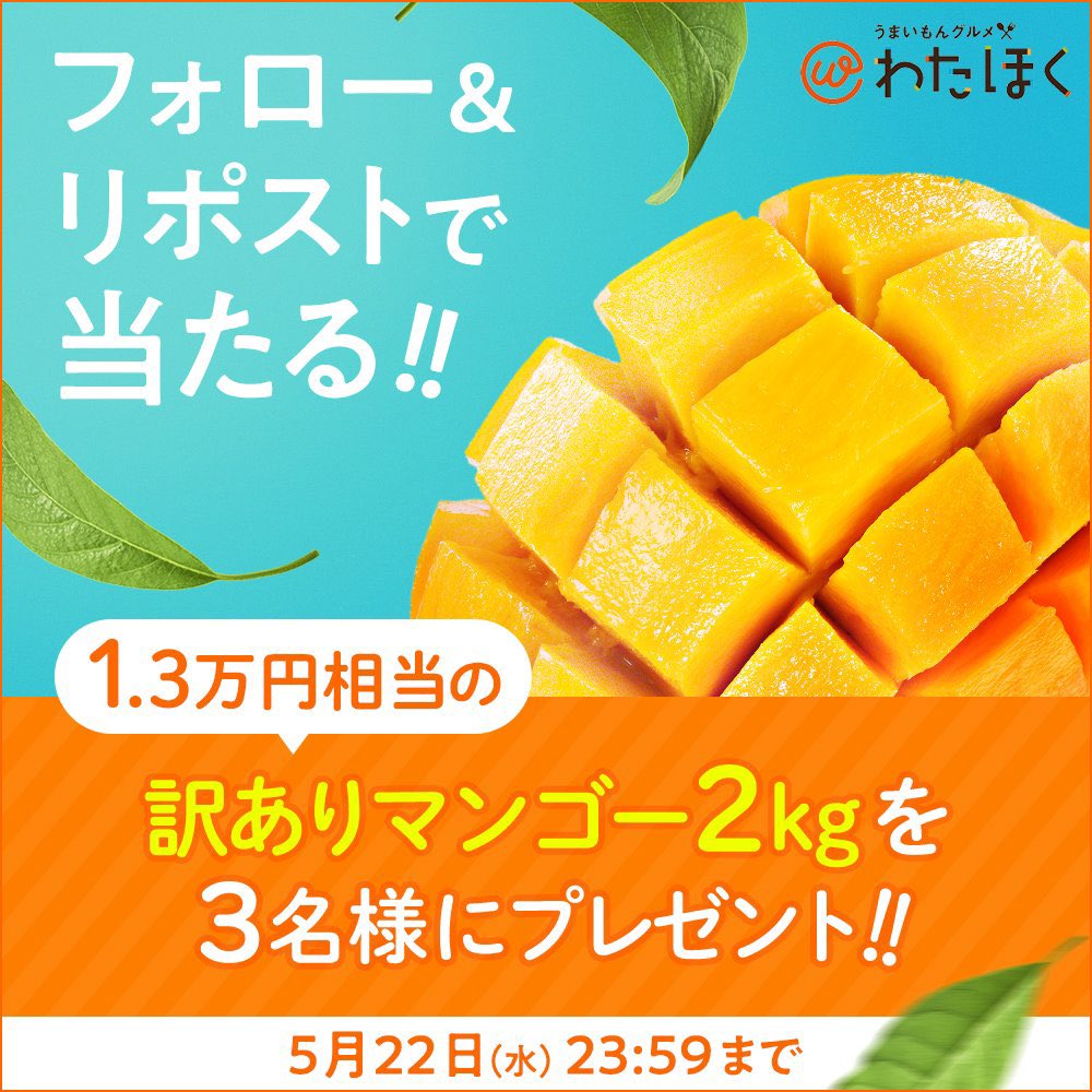 🥭プレゼントキャンペーン開催中！🥭

抽選で3名様に￥13,000相当の【訳ありマンゴー2kg】をプレゼント！🎁

【応募方法】
1. このアカウントをフォロー💕
2. この投稿をリポスト🔁

コメントや引用で当選確率UP⤴︎
食べてみたい商品など是非教えてください🤗

#懸賞 #抽選 #プレゼント企画開催中