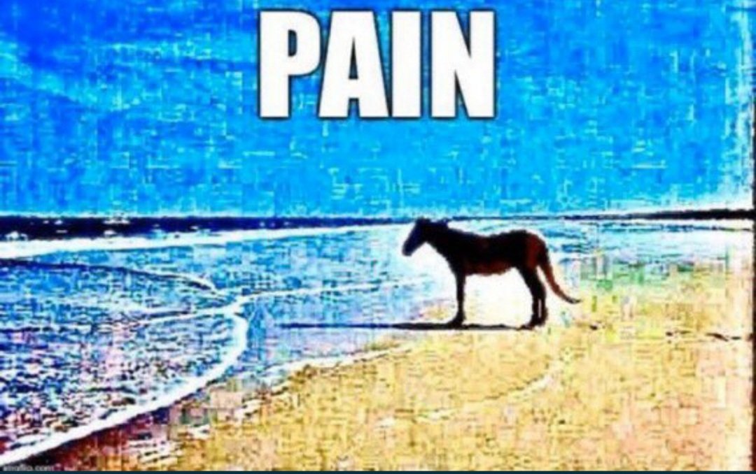 ObsoleteGing's tweet photo. @frapposting https://t.co/2uB9c3EmCT